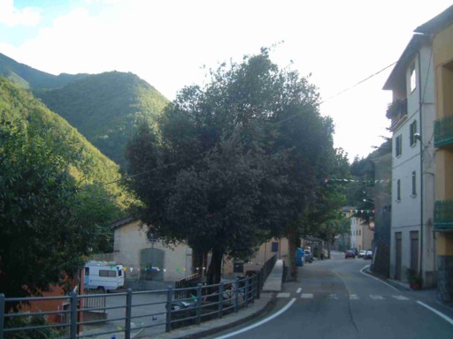  Image name: 12 leccio.jpg 
 width: 512 pixel 
 height: 384 pixel 
 Size: 47093 bytes 
 Click to enlarge 